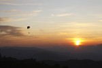 Libero di volare fino all'ultimo, di francoamico