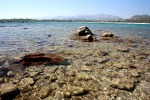 Riflessi sull'acqua, di denise.nadir