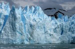 Frammenti di Perito Moreno