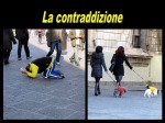 La contraddizione, di selenina