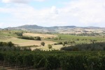 colline toscane, di paolocr