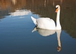 Il più bello del lago, di fabioqua