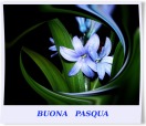 BUONA PASQUA, di selenina