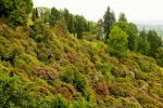 parco della burcina, di davide.casale