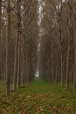 campagna., di paolocr