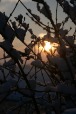 Prima neve, di Cioccolata