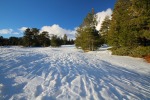 paesaggio nevoso (etna), di peppuccio