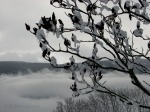 Scena di un inverno sopra Brunico, di robyvenice