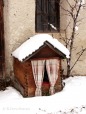 casa dolce casa versione canina, di robyvenice