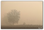 ... ombre nella nebbia, di RobyF66