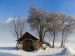 la casetta sulla neve, di robyvenice