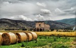 covoni di paglia di grano "sacri", di man2