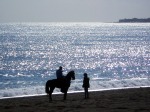 LA DONNA CHE SUSSURRAVA AL CAVALLO, di selenina