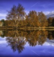 Riflessi d'autunno, di peppuccio