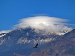 IL DISCO VOLANTE SI E' FERMATO SULL'ETNA, di selenina