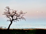 LA BELLEZZA DELLA NATURA, di selenina