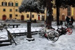 Neve a Firenze, di brother_65