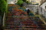 Flowers in the rain, di Albachiara