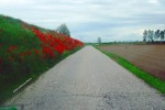 la riva rossa, di Nevilas70